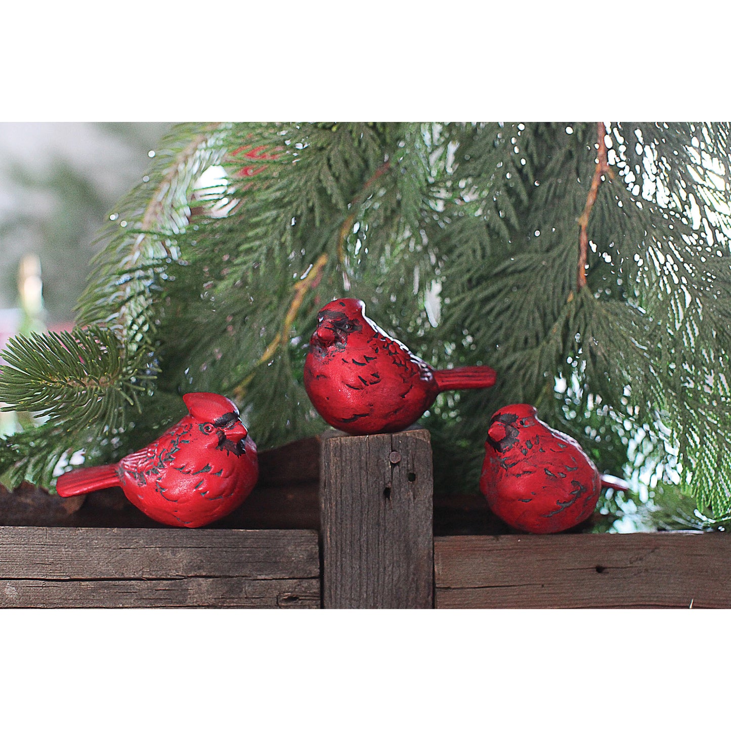 Set of 3 Cardinals